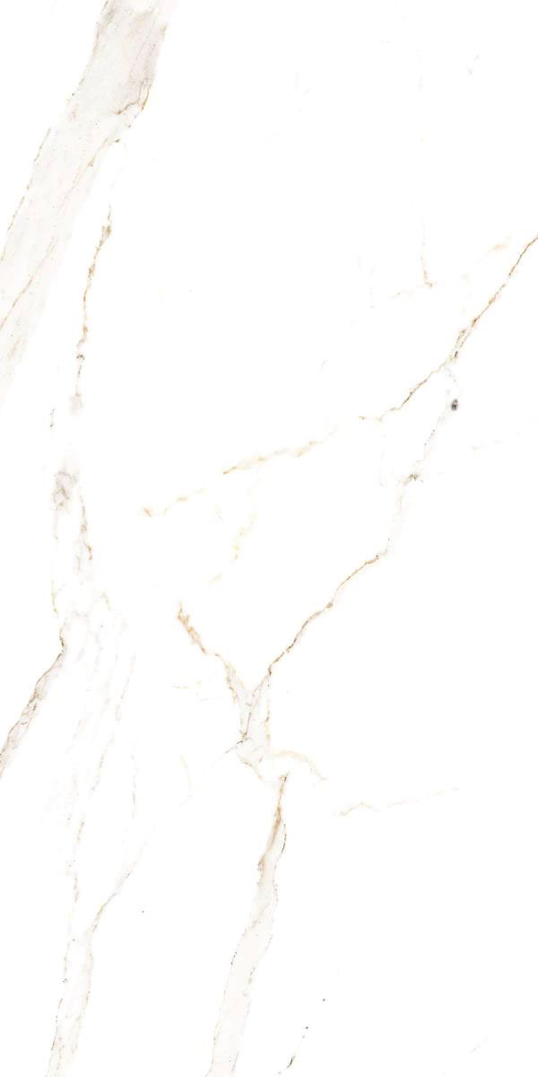 STATURIO LUX F4